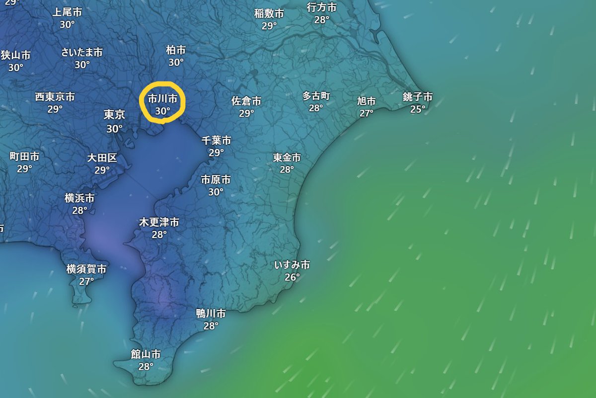 9/6(土)12:00の風予想（最新情報）
大丈夫そうですね👍