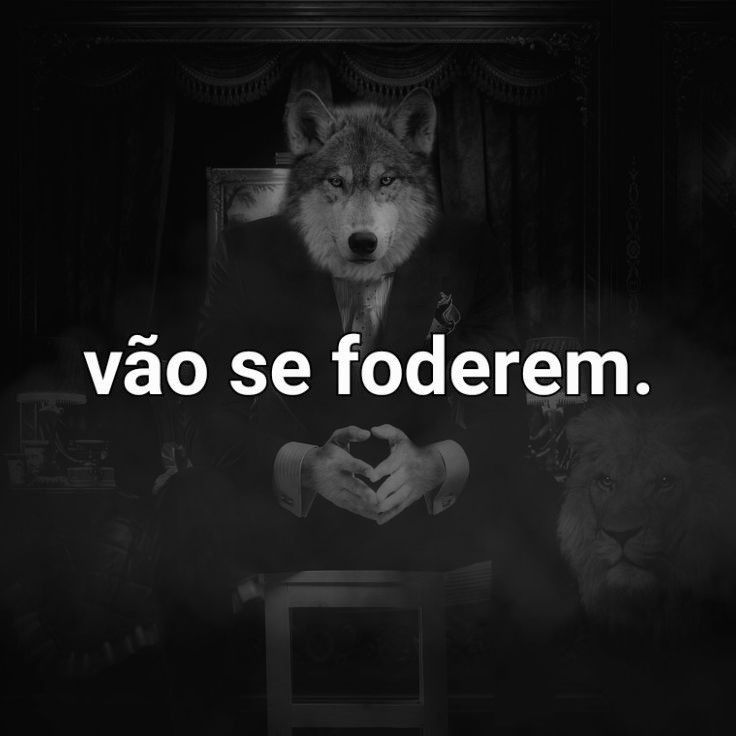 𝐂attleya, 𝐃. tweet media
