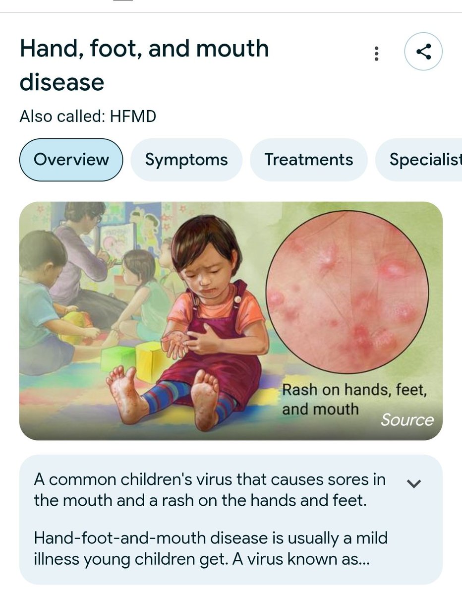 🇺🇸Her Last Bastion🇺🇸 tweet media