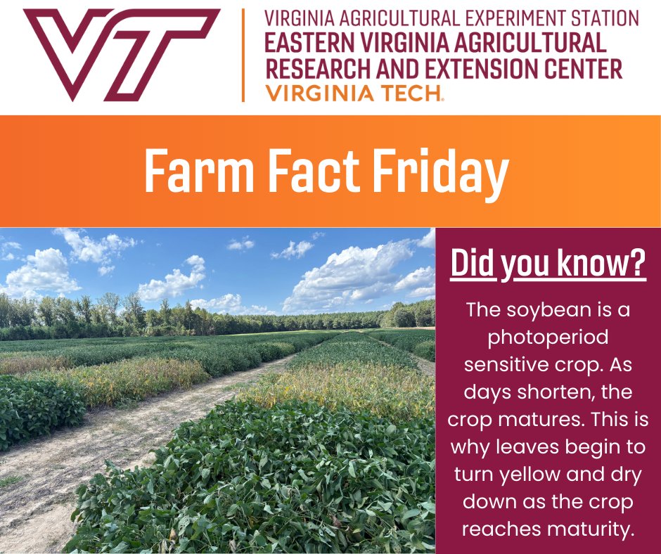 Eastern Virginia Ag Research & Extension Center (@vt_evarec) on Twitter photo 