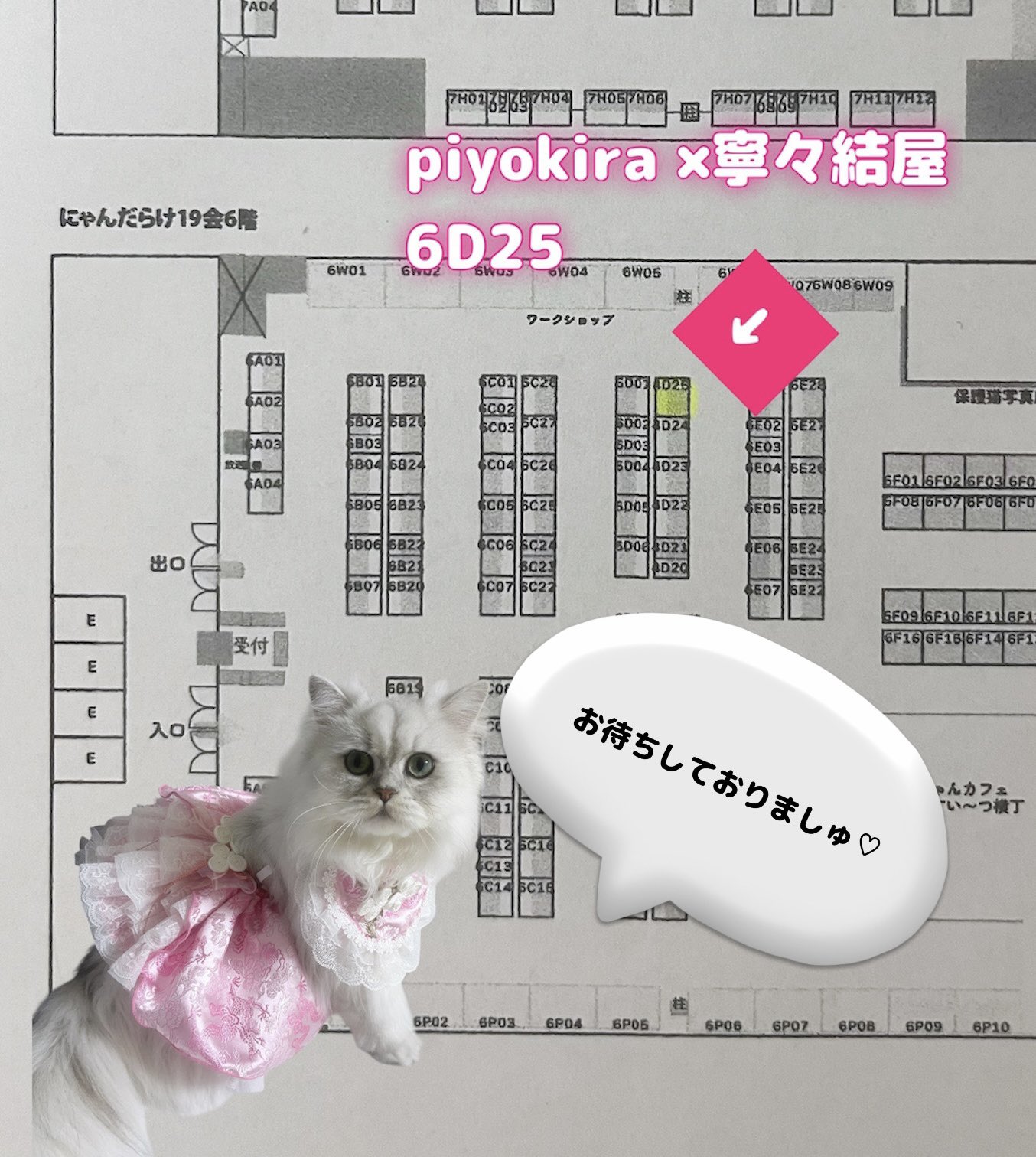 茶々ママ(9/27にゃんだらけ東京出展） (@chachamama0515) / X