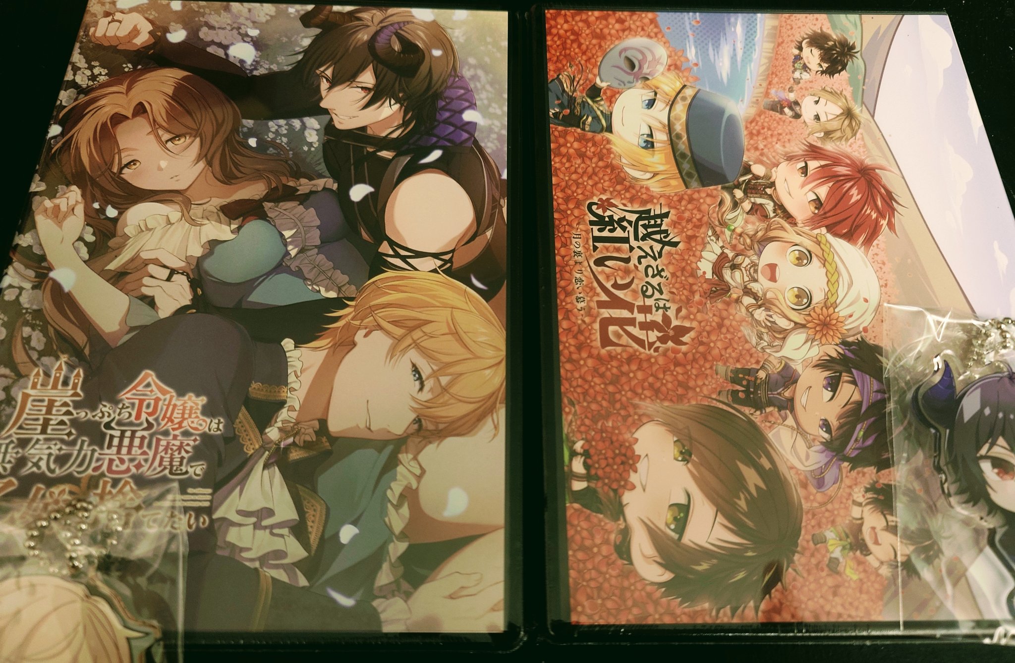 崖っぷち令嬢は無気力悪魔で乙女を捨てたい 犬のしっぽ on X