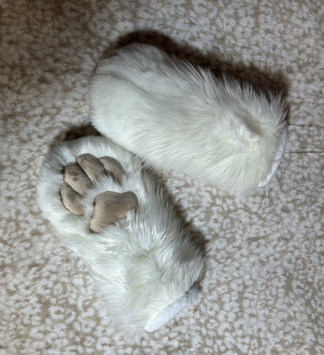 Why were my bedsheets the actual perfect background for these paws