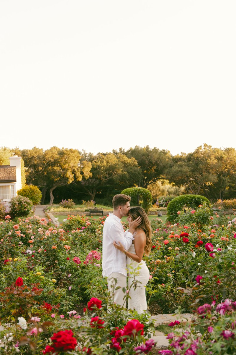 Kostas G. tweet media