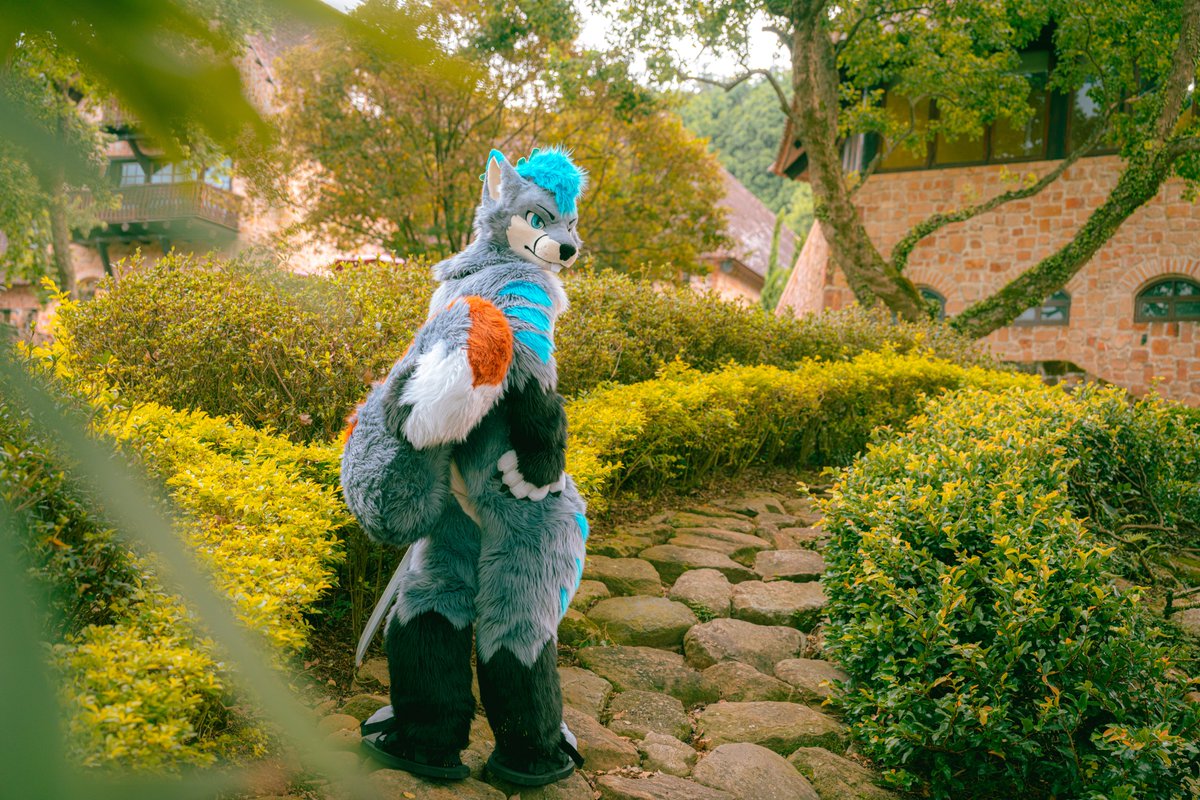 一緒に冒険に行かない？

Do you want to go on an adventure with me?

想不想跟我一起去探險？

📷: <a href="/goat83262/">Yangi</a>

✂️: <a href="/kigurumikagetsu/">きぐるみ花月/Kigurumi Kagetsu</a>

#FursuitFriday #MountainPineTW