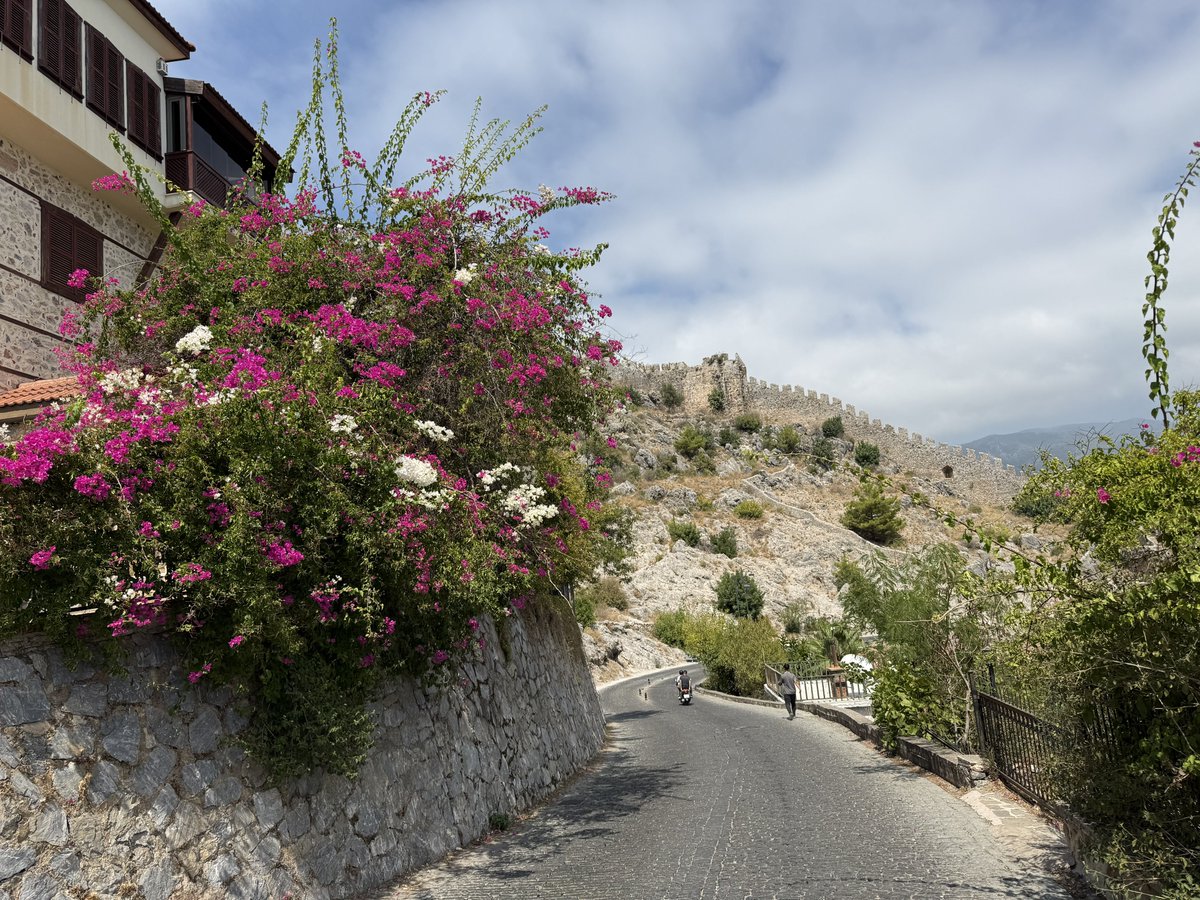 Zhirnoff 𝕏 (@zhirnoff) on Twitter photo 