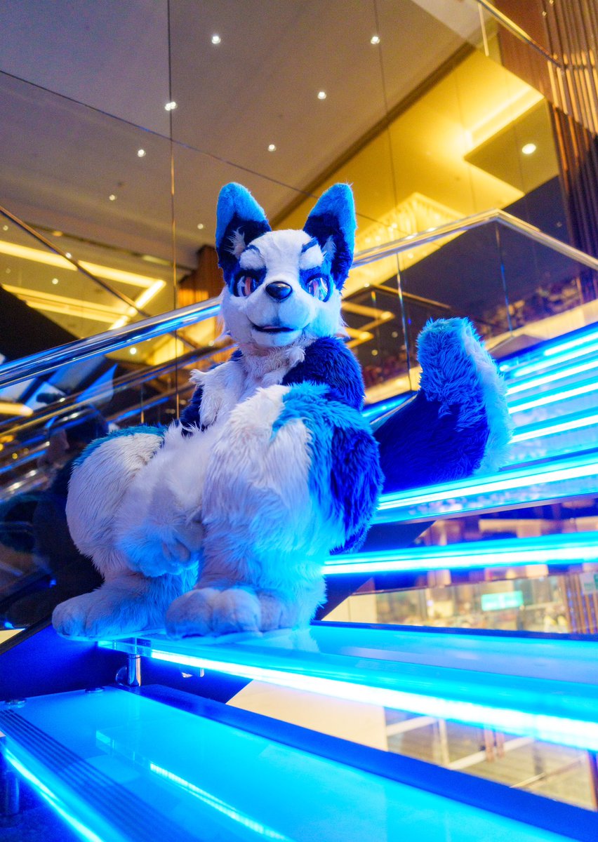 🐕✨「ん？となり来る⁇」

📷るんさん（<a href="/run_charizard/">るん (Run)→Infurnity</a> ）
#FursuitFryday 
#UTFG2025