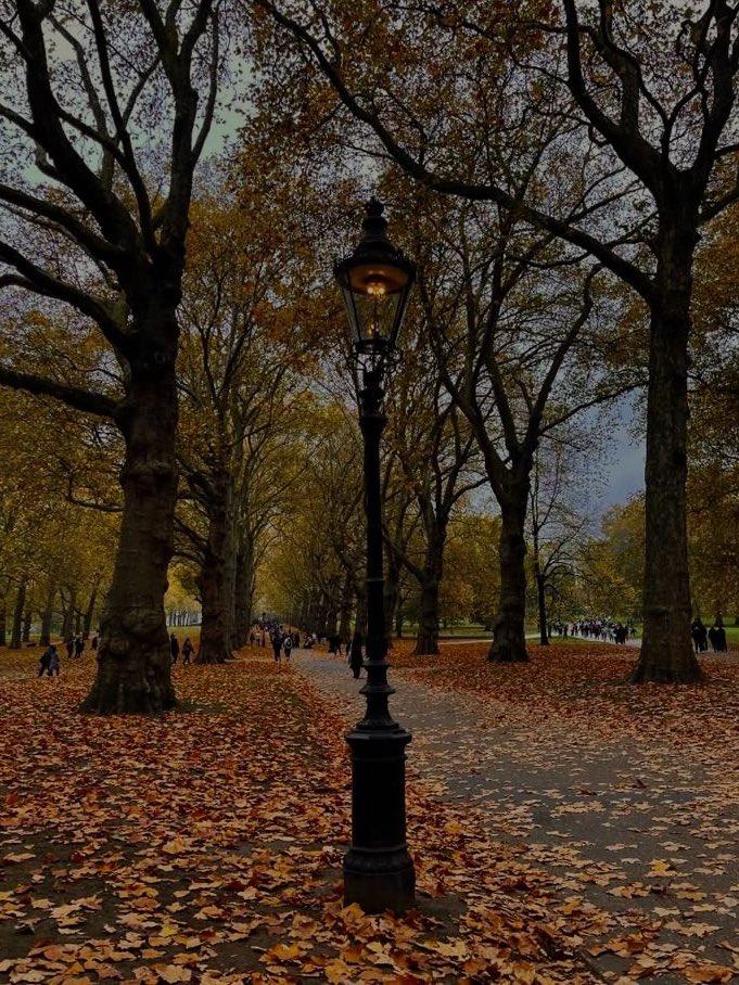 allthingshazy's tweet photo. 𝘆𝗼𝘂𝗿 𝗱𝗮𝘆, 𝗯𝘂𝘁 𝗶𝗻 𝗮𝘂𝘁𝘂𝗺𝗻 𝗰𝗼𝗹𝗼𝗿𝘀 🍂

— an interactive thread https://t.co/SiETTbo7rf