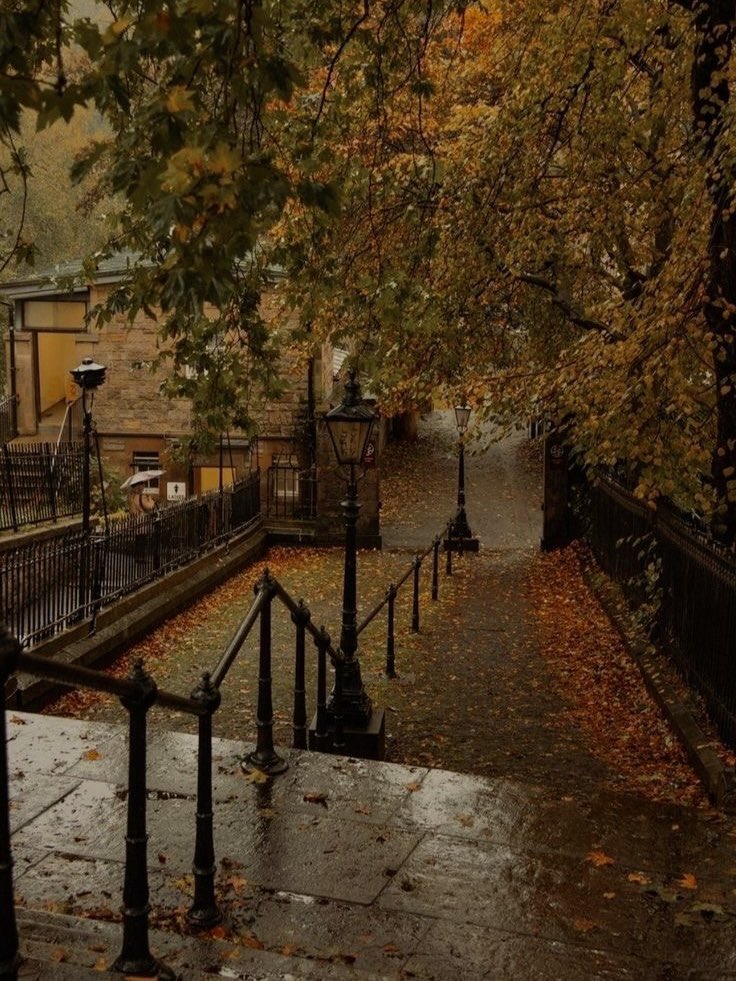 allthingshazy's tweet photo. 𝘆𝗼𝘂𝗿 𝗱𝗮𝘆, 𝗯𝘂𝘁 𝗶𝗻 𝗮𝘂𝘁𝘂𝗺𝗻 𝗰𝗼𝗹𝗼𝗿𝘀 🍂

— an interactive thread https://t.co/SiETTbo7rf