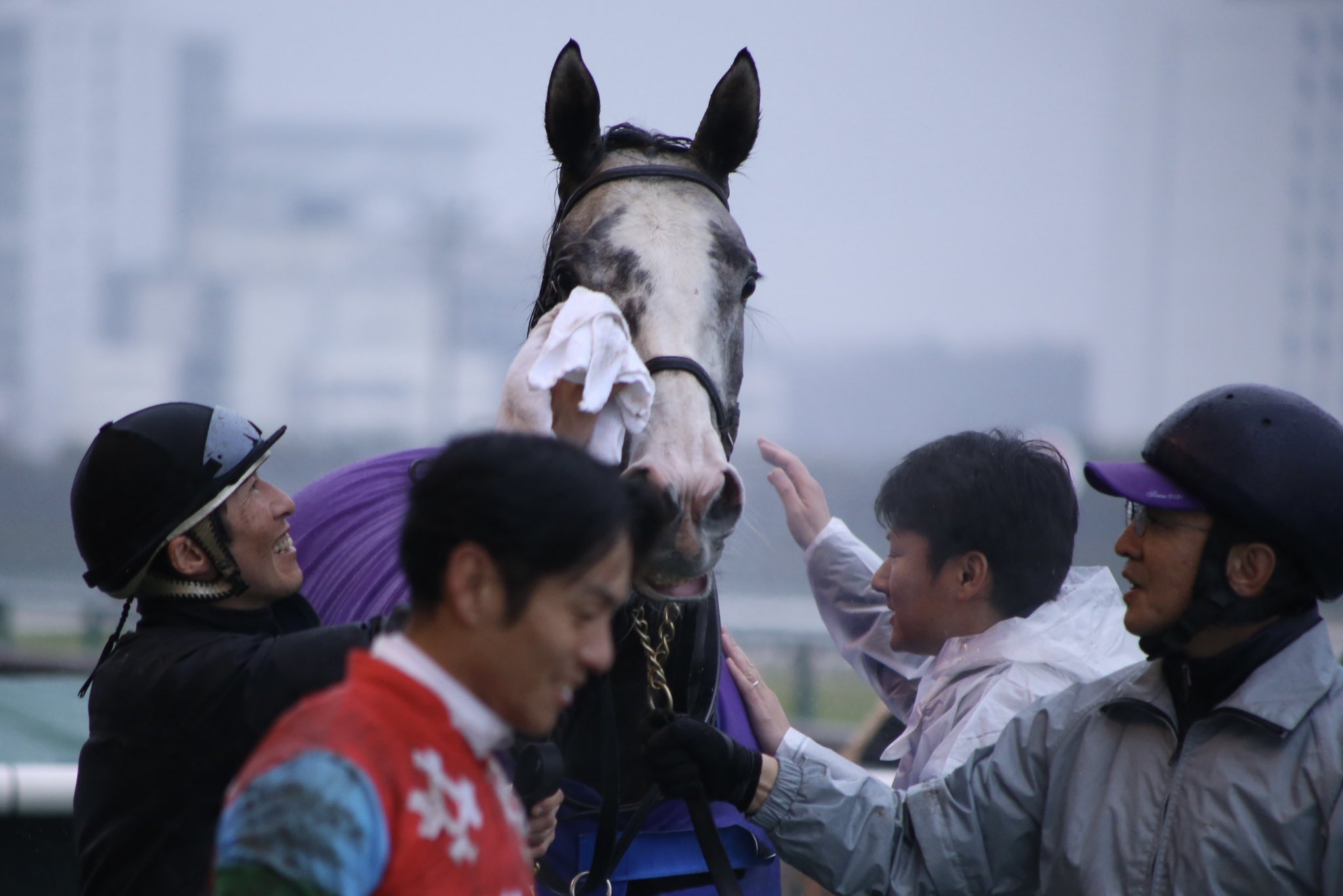 競馬 引退品 競走馬 引退後はどこへ？ 黒潮友馬会応援 【500万円コース