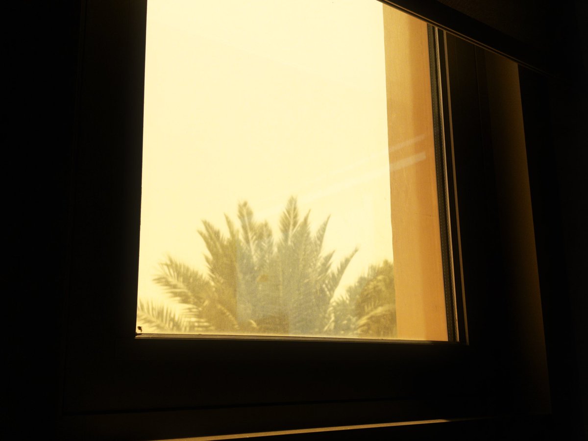 ميلاف tweet media