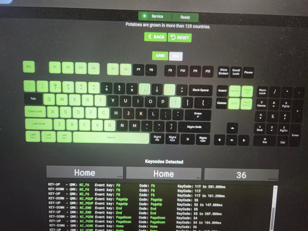 Accelsharp's tweet image. Alright left side done! Now to work on the right side!