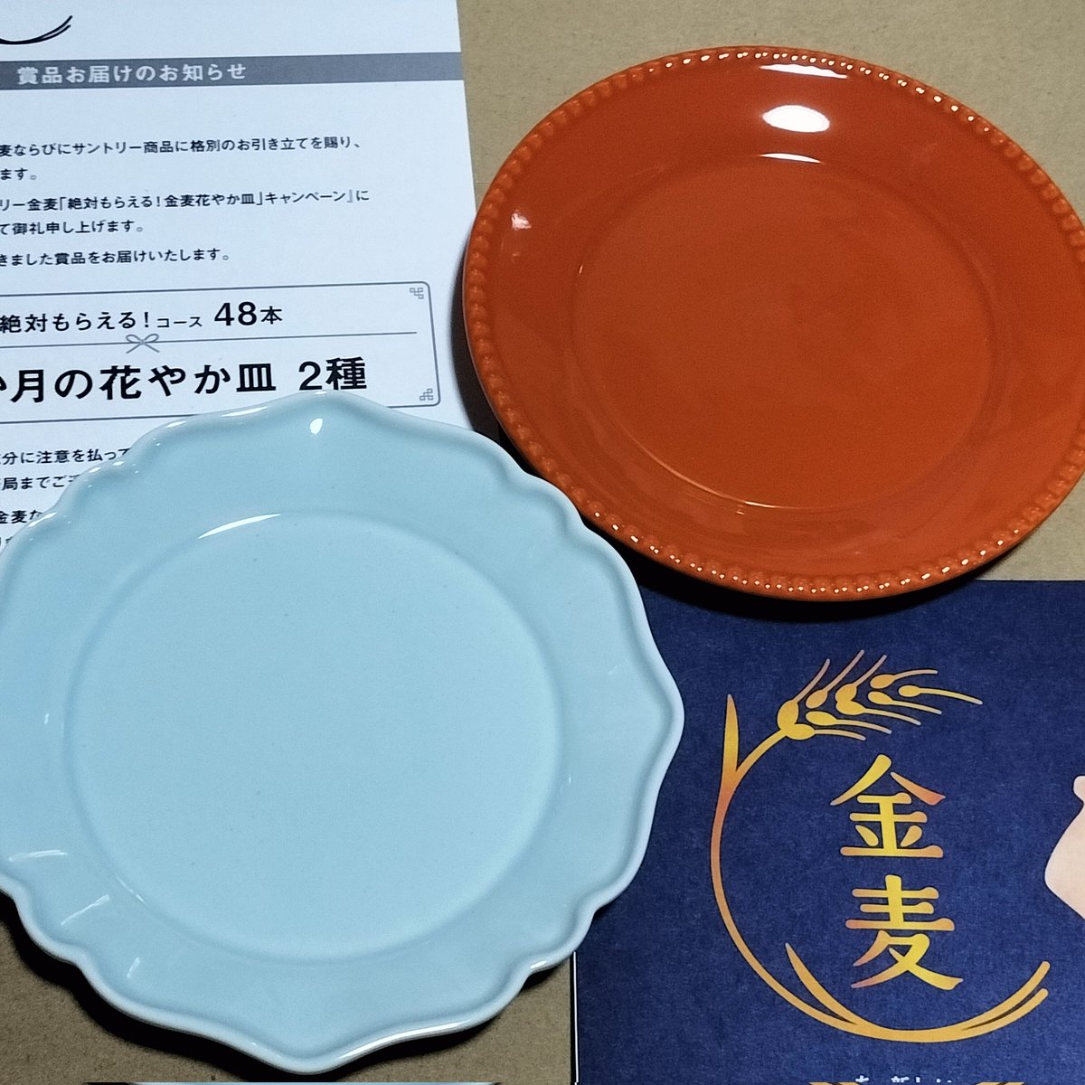 金麦の可愛いお皿届いたー♥️ おつまみのお料理に良いくらいのサイズ