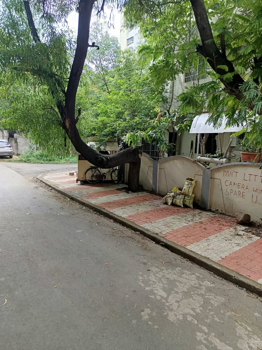 KavithaReddyKR's tweet image. SAVED Tree...... 

Nature teaches everything! 🥰 

#KavithaReddyKR #SaveTrees