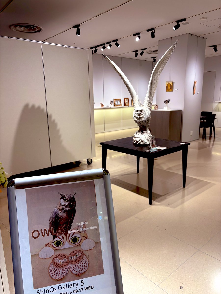 たま&🦉🦉 on X: 