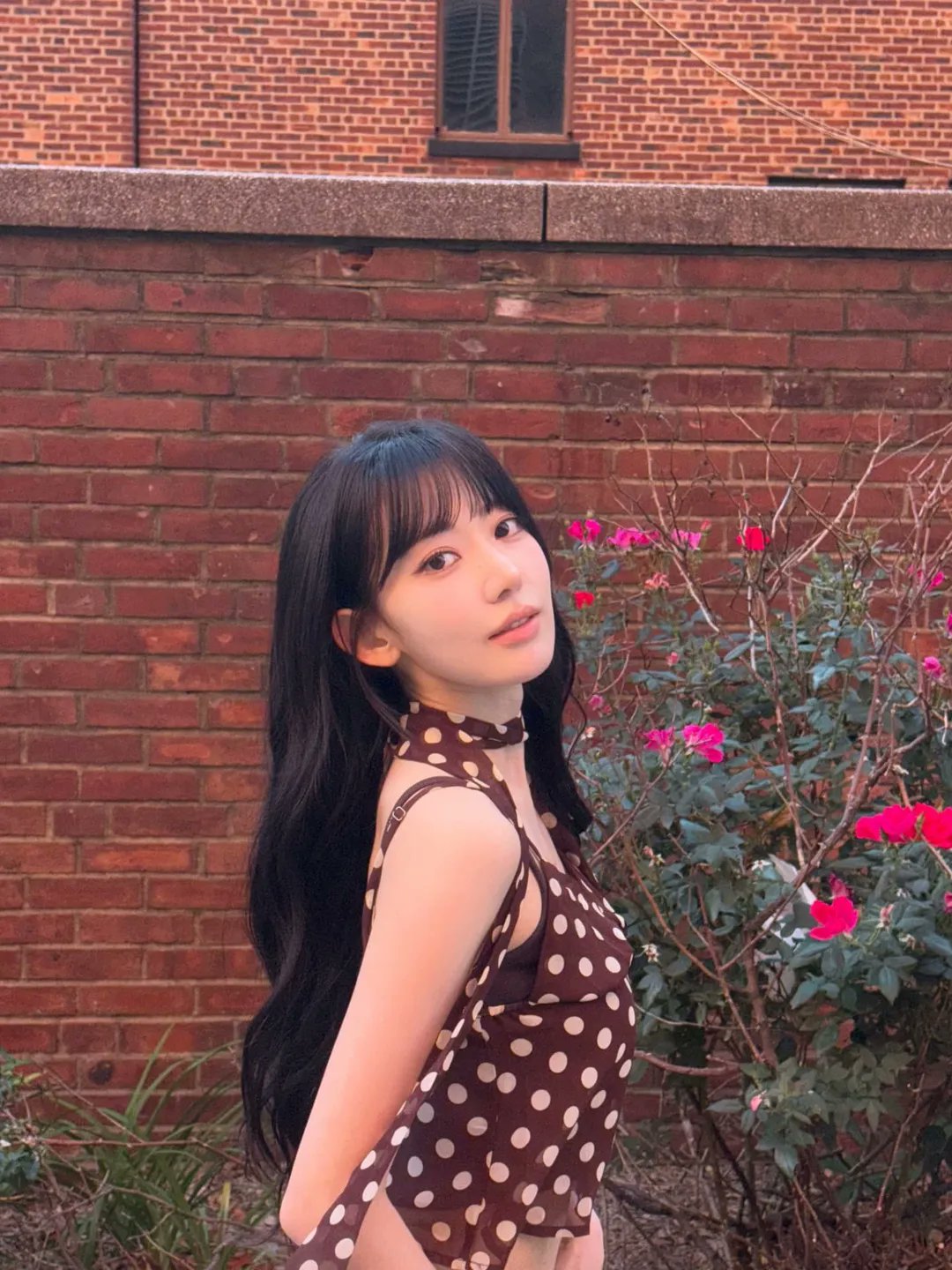 東方仗助🌸 on X: 