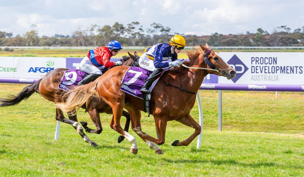 Fernie_Racing's tweet photo. Weโre pumped to give First Light Racing a W on WA soil with Spicy Thang!
Congratulations team, many more to come!
#FernieRacing || @WesternRacepix https://t.co/PueIESRbVV