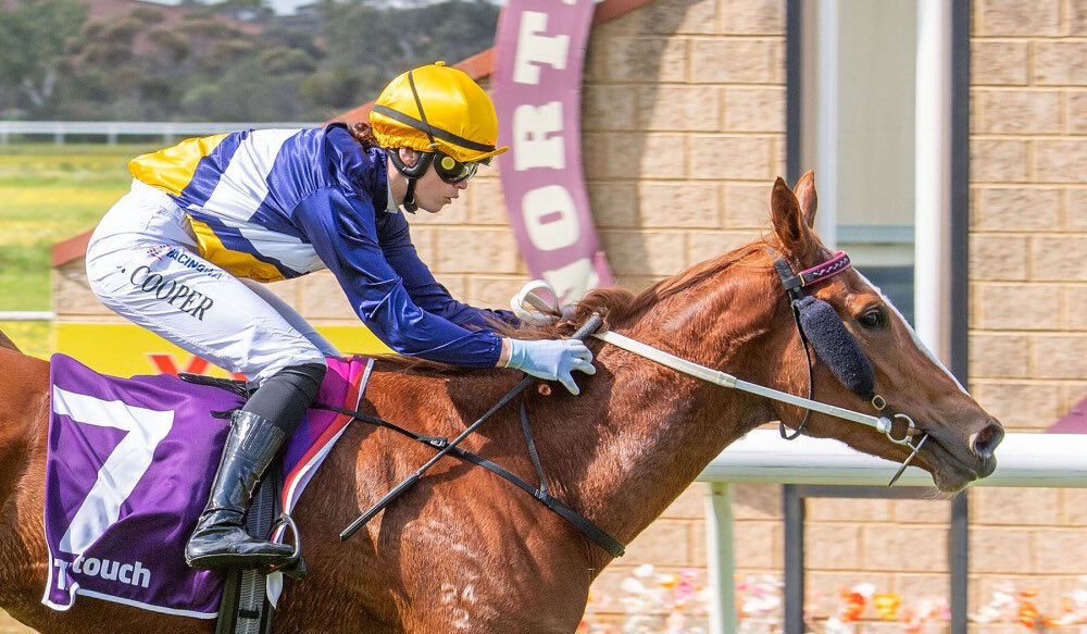 Fernie_Racing's tweet photo. Weโre pumped to give First Light Racing a W on WA soil with Spicy Thang!
Congratulations team, many more to come!
#FernieRacing || @WesternRacepix https://t.co/PueIESRbVV