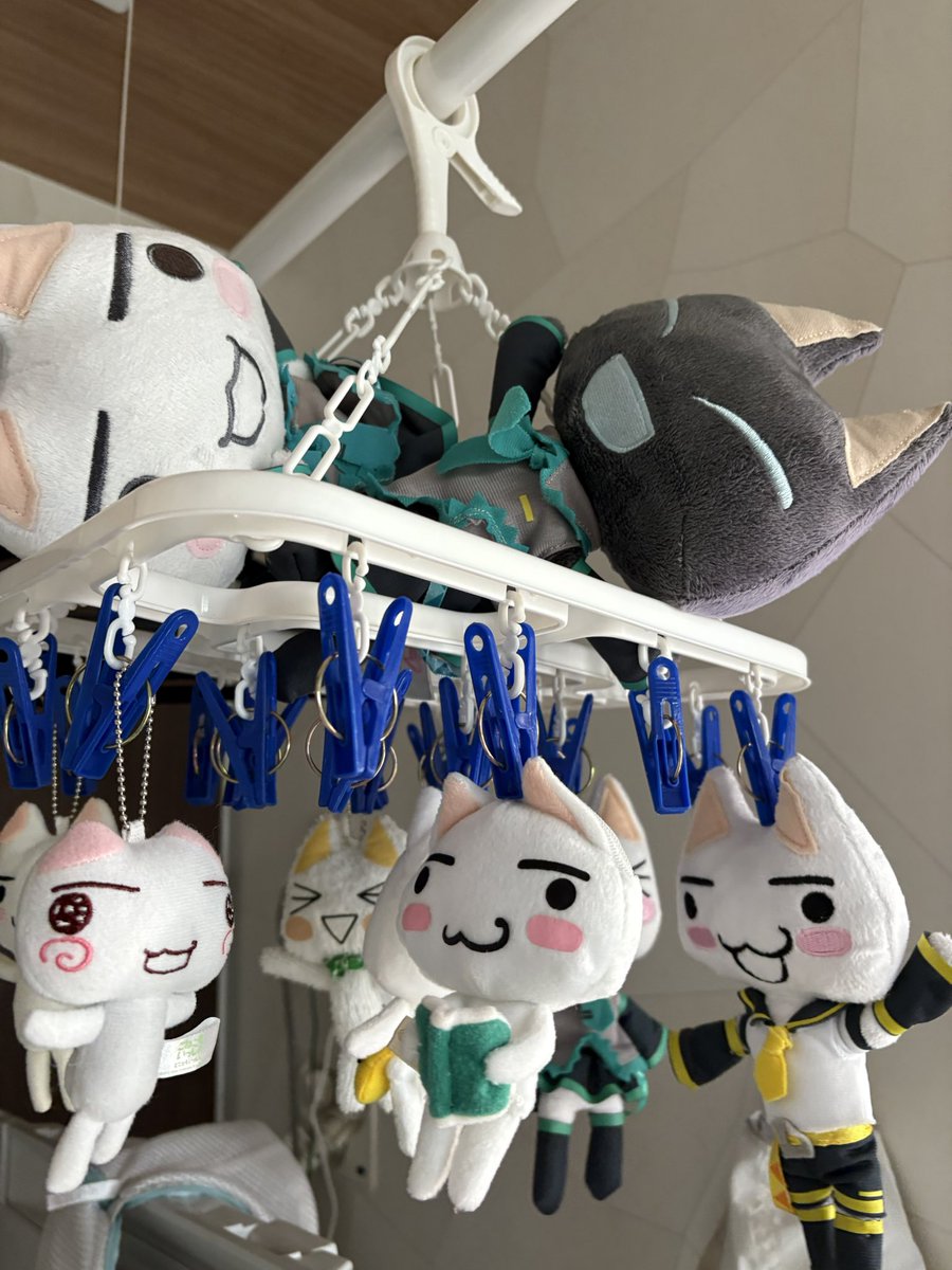 目線にトロクロ(  ◜ω◝ )かわいい