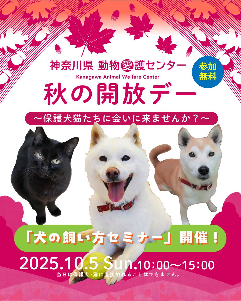AC_kanagawa's tweet photo. みなさん、こんにちワン！
10月5日(日曜)に動物愛護センターで秋の開放デーを開催するワン。
魅力いっぱいのワンちゃん・ネコちゃんが多くの人に会えるのを待っているよ。
お申込み方法やプログラムなどはこちらを見てね。
https://t.co/EKNs0Ulocd

#犬 #猫 #動物愛護センター #神奈川県 https://t.co/oZgeNQ6C8M