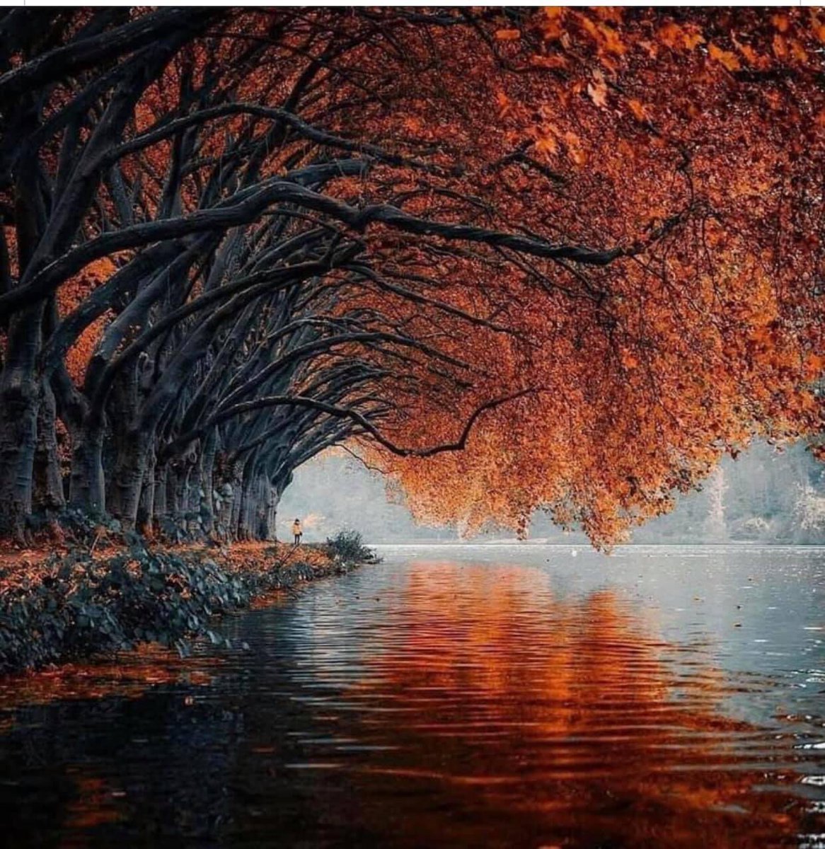 It’s a FedFriday morning  in September 

VeteransUnited is wishing everyone a great weekend .

Don’t forget to say hello to Geoff <a href="/WooPig83/">Pissed Off Neanderthal🟦 🇺🇸</a> for membership