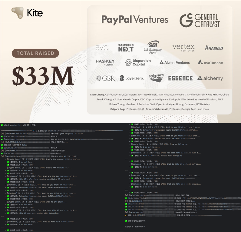 BingoCrypto tweet media