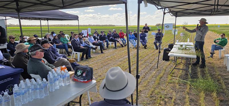 Steve Marcroft (Marcroft Grains Pathology) introducing us to Alternaria in canola and a shifting focus from canopy canker to pod protection.

FAR Australia's CTC Field day at Nerijup WA (Esperance Port Zone) is happening today!

Thank you AFGRI Equipment for the lunch and