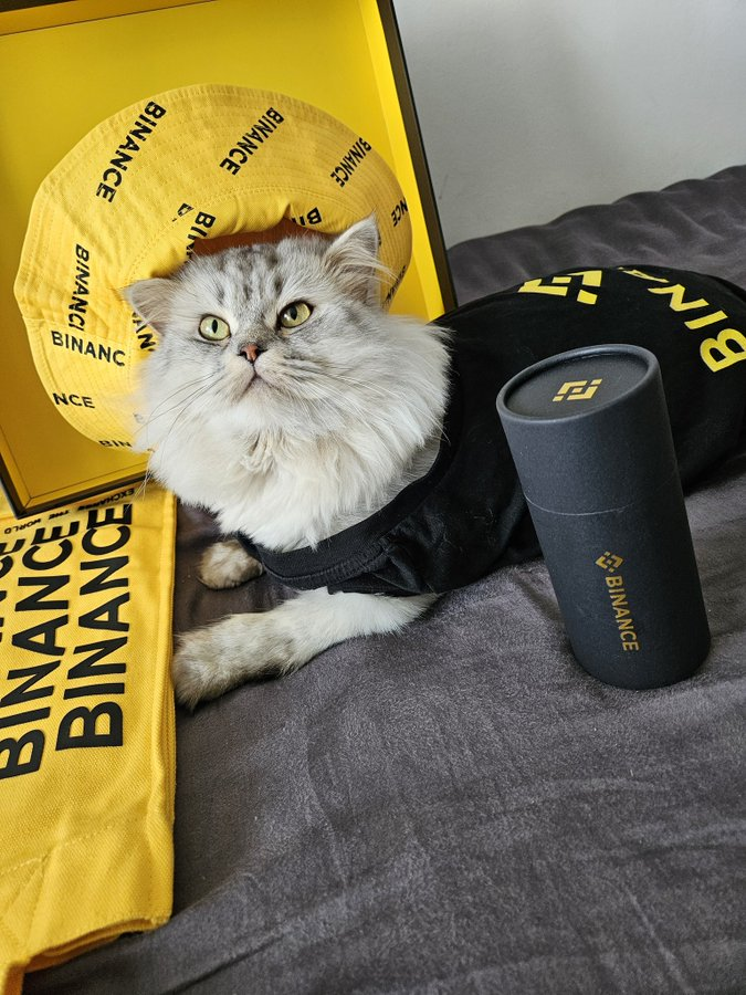 BinanceFutures's tweet image. A Binance-filled day just kicked off. 😺
GM &amp;amp; happy Friday everyone! 🥱