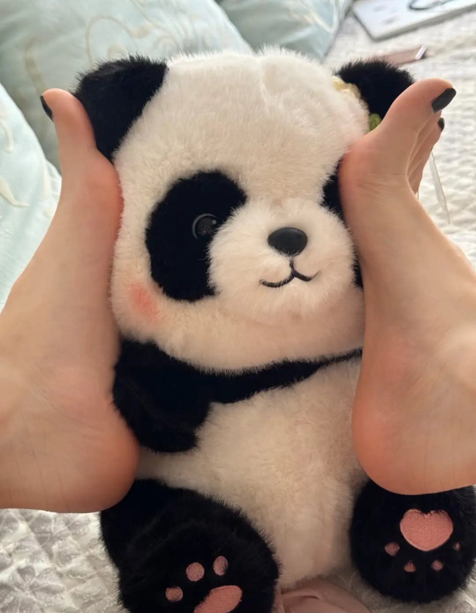 喜欢你虽不是一见钟情，但不能说停就停