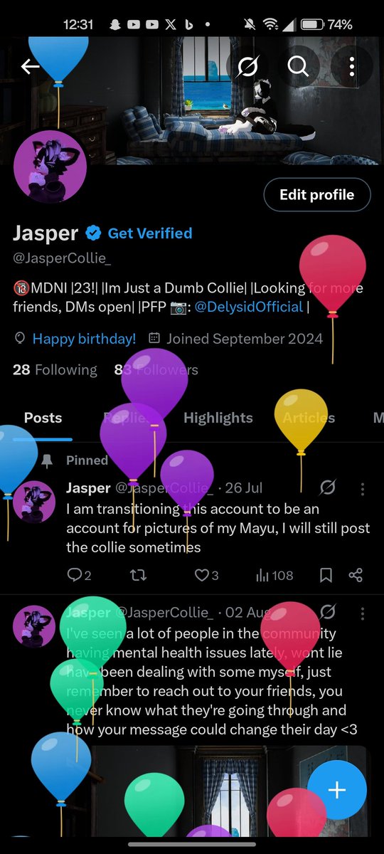 JasperCollie_'s tweet photo. Oh no... Not the balloons! https://t.co/YSCKxSfH2g
