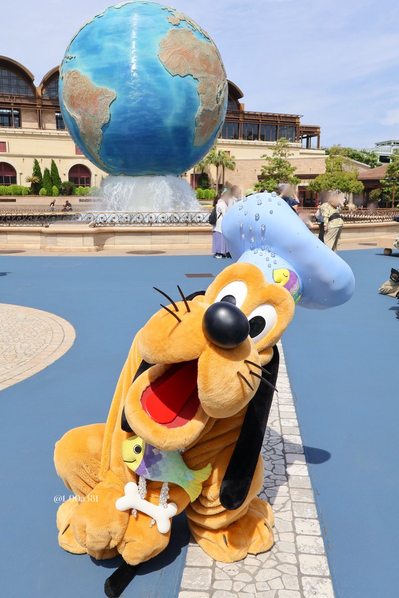 250905  プルートお誕生日おめでとう🎂💛

暑い日に外にいるみんなに水掛けてくれたり、可愛いポーズ取ってくれる優しいプルート🐾✨️