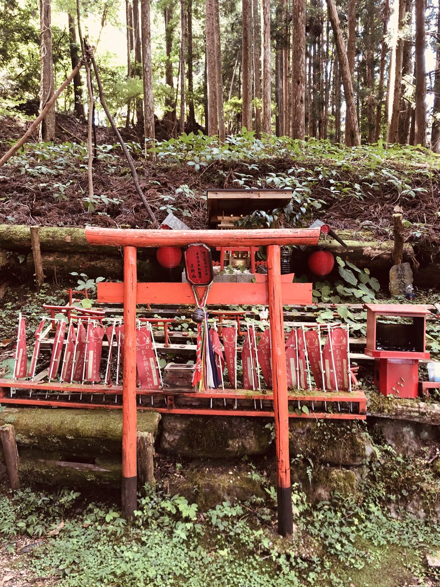 ☆杉並区よりオカメインコのアレックを探し続けています☆🐸‼️9月、長月🌕。
皆様、いつもありがとうございます。感謝しております🙏。引き続きアレックを探し、迷子帰還を念じ動いています。どんな情報でも賜れば有難いです。引き続きよろしくお願い申し上げます🙏🐸！