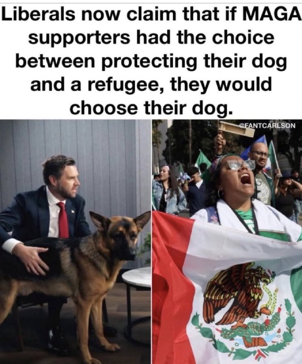 I would 100% choose my dog.