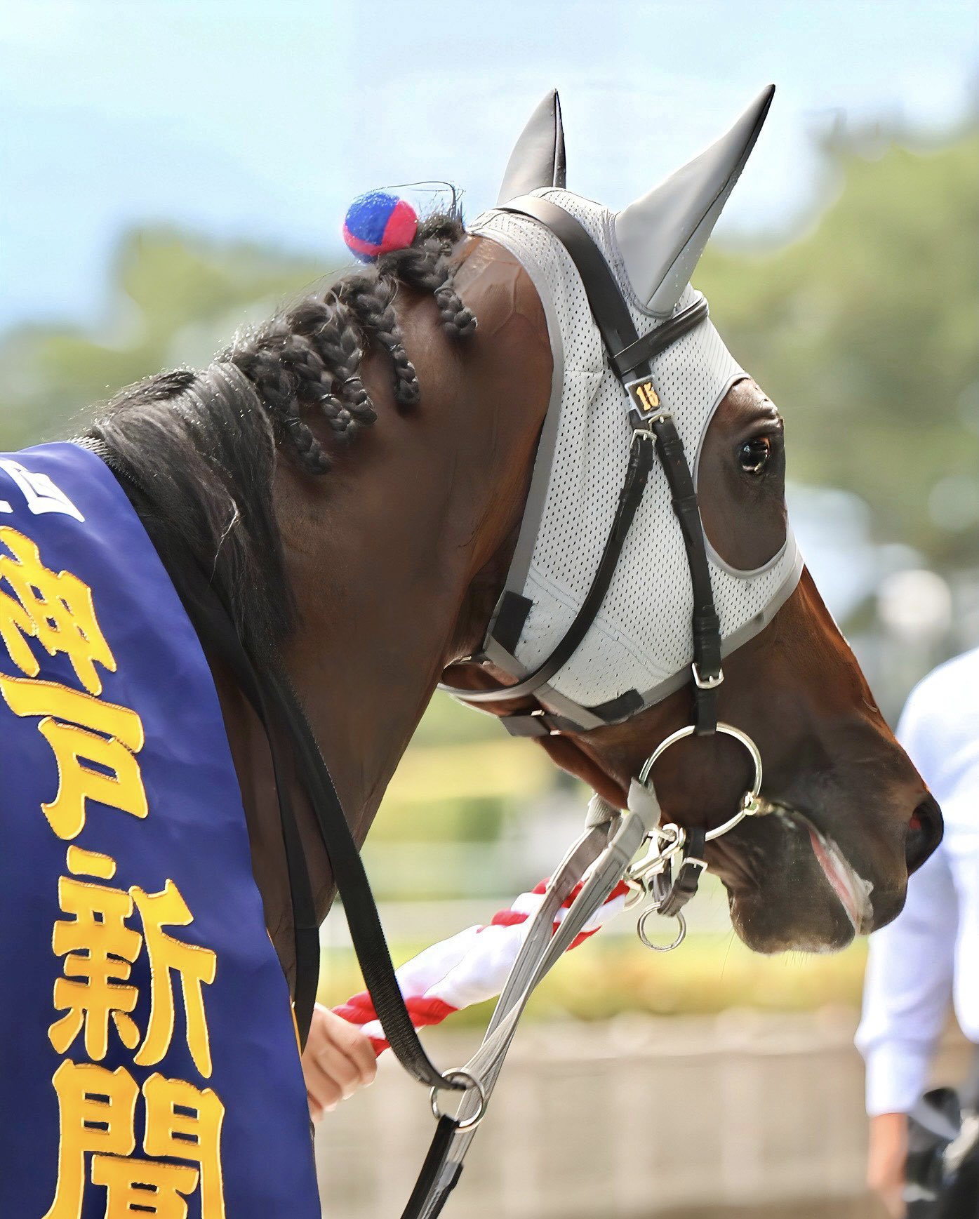 さるきち様 オーダー7枚 メイショウタバル追加 さるきち様 オーダー7枚 メイショウタバル追加 宝塚記念2025