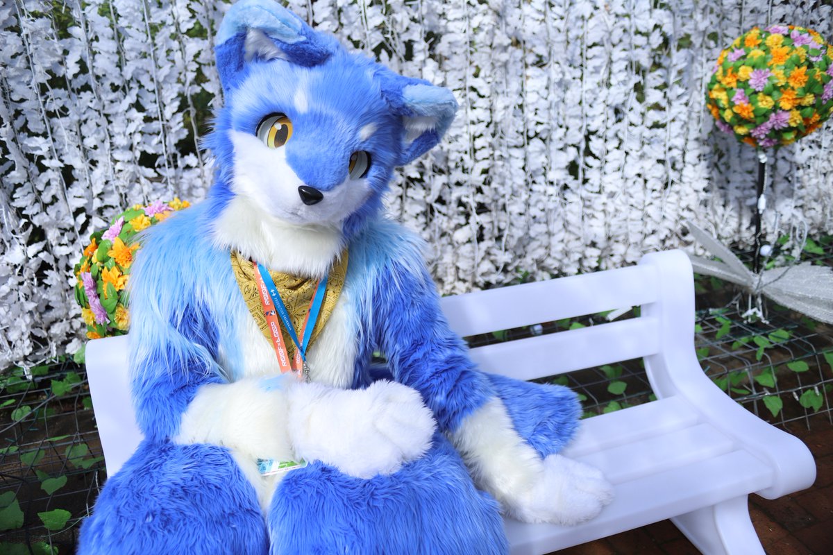 のんびり座ってお話ししよ？

📸:piaさん<a href="/MofPia9646/">Pia</a> 

#FursuitFriday