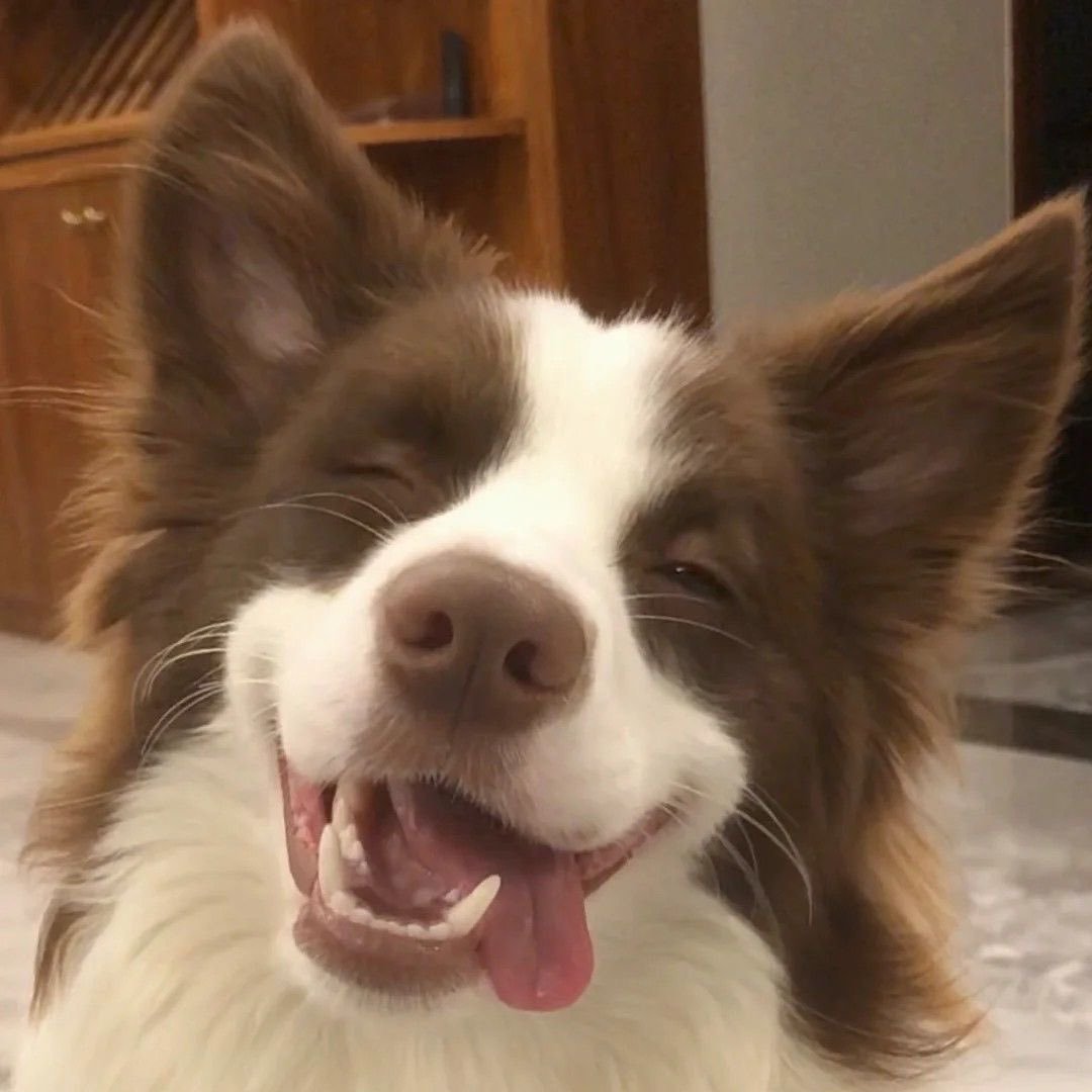 look at him hes so jolly and whimsical