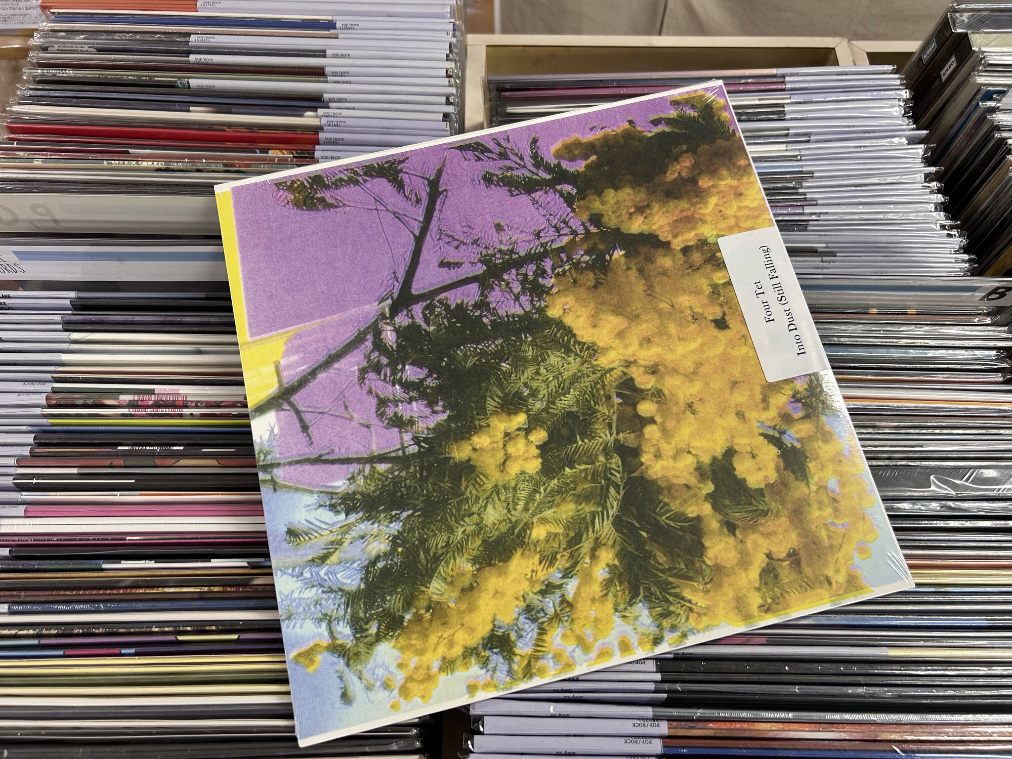 MIZ「Sundance Ranch」 レコード　新品未開封　taki 81-72026 シンセティックレザー マット – 瀧定名古屋株式会社 81課