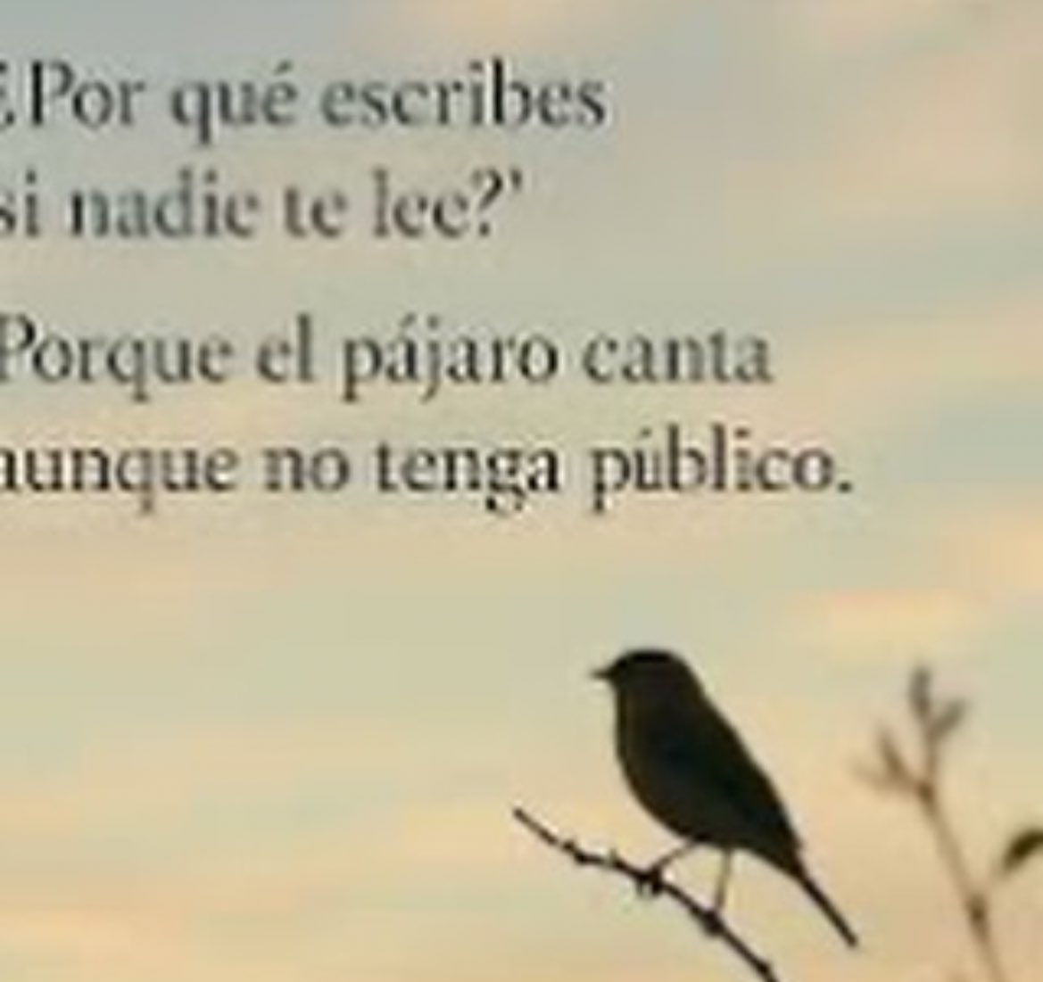 gran pequeño corazón ꕤ 。 ˚⋆ tweet media