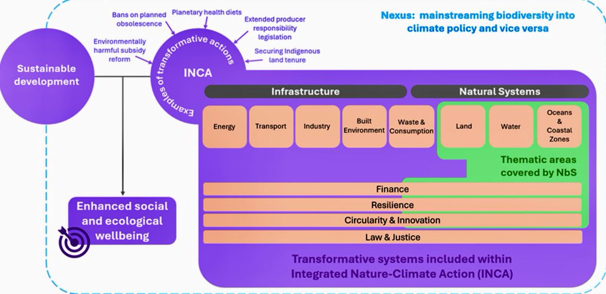 Sander Chan 陈文山 (he/him) 🇺🇦💚🍉 tweet media