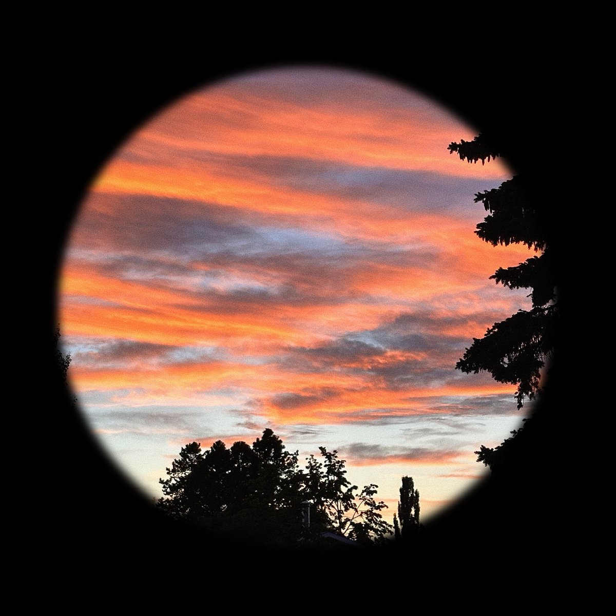 CaRterWMusic's tweet image. ‘one you want’ is out now. Go stream it (or don’t that’s okay too) 🤘🏼