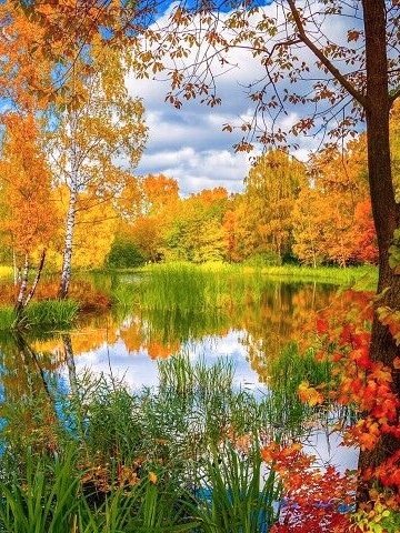 123 (@xetra_a) on Twitter photo 