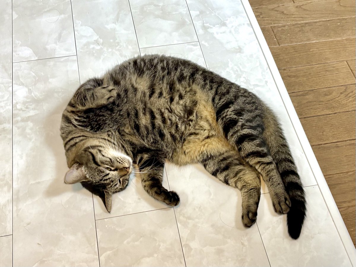 メルモちゃん - Search / X