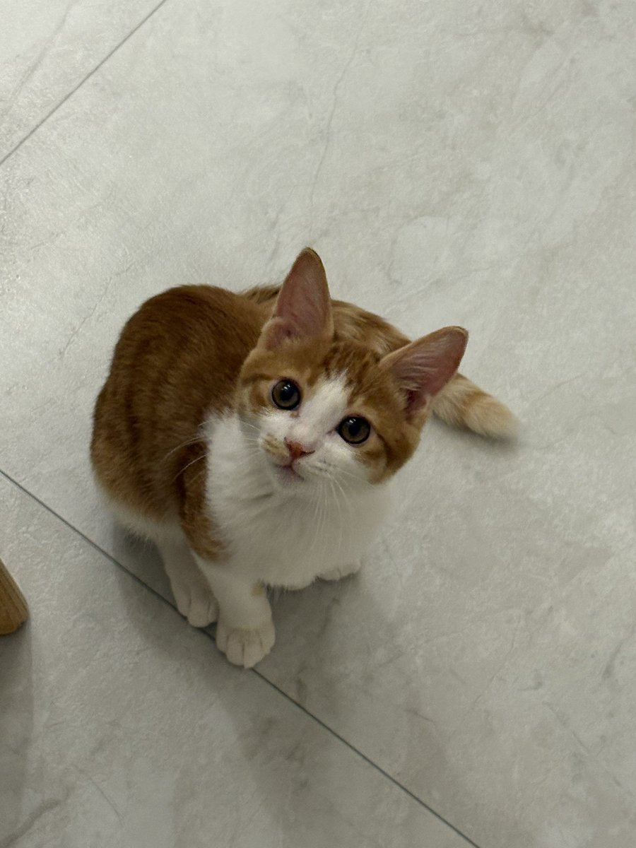 비닐 빠스락 소리나면 지 먹을건줄알고 눈땡글