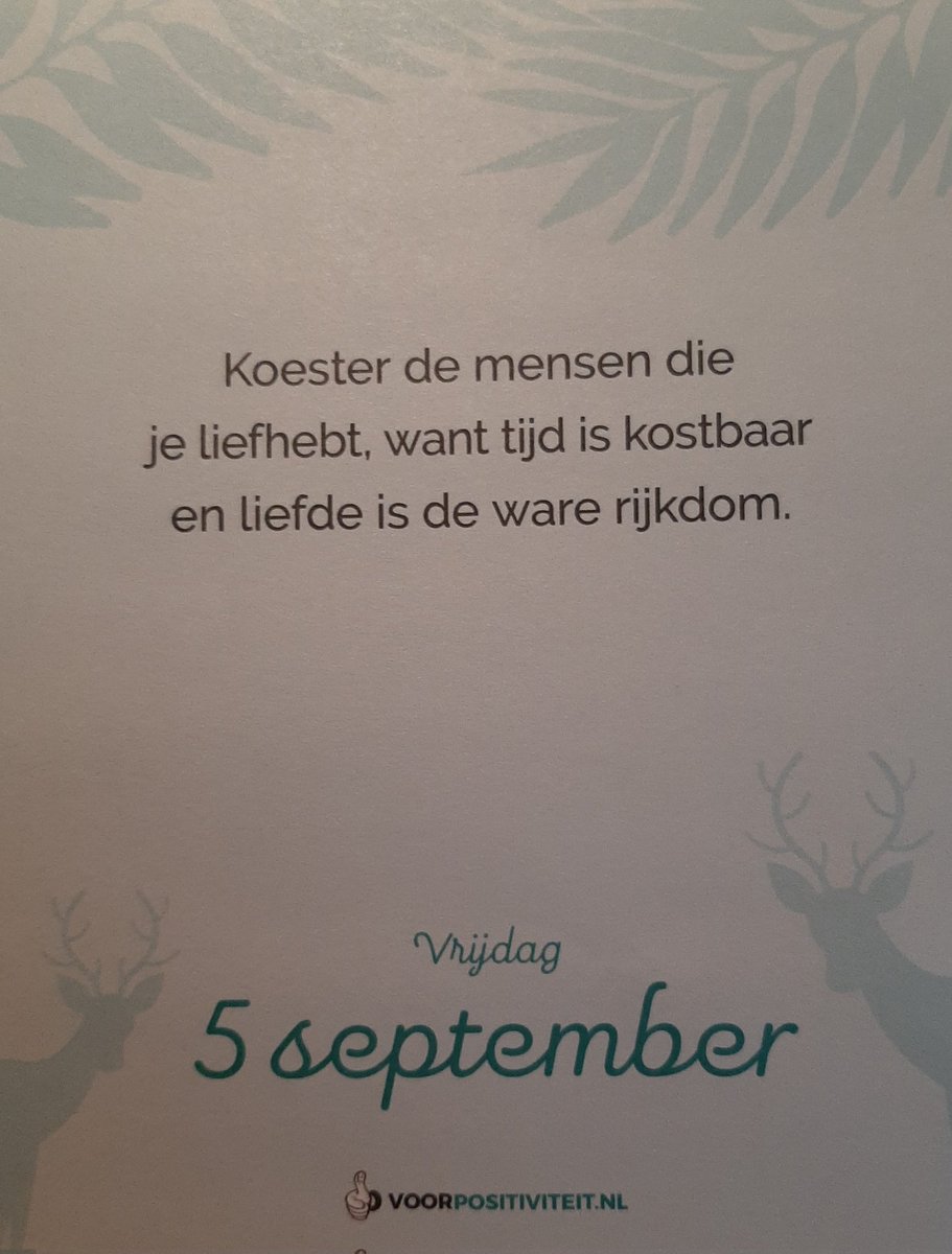 Lenny Roelofs (@roelofslenny) on Twitter photo 