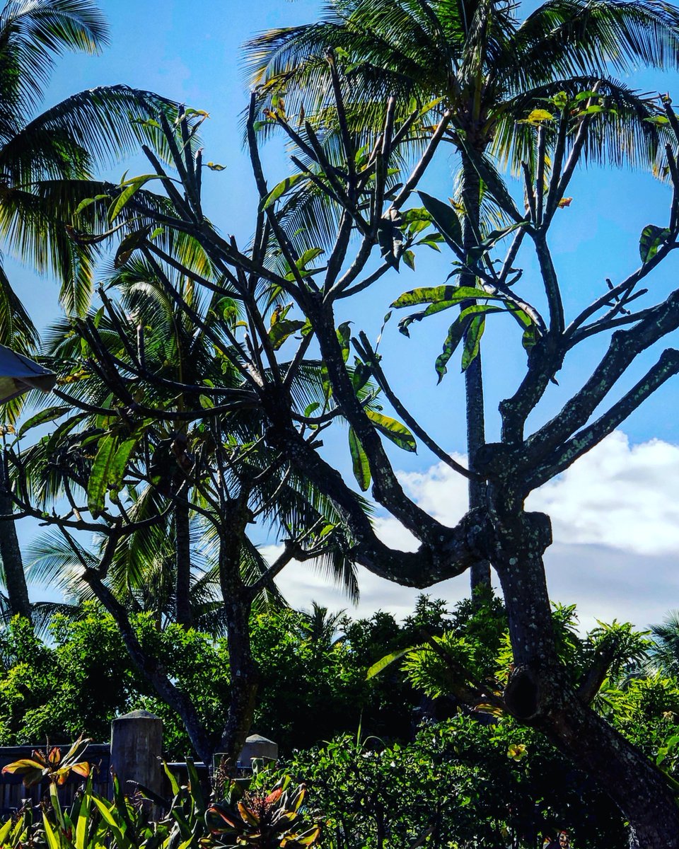 Good Morning

Carpe Diem