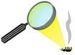 RevivedGreen's tweet image. #killthemall