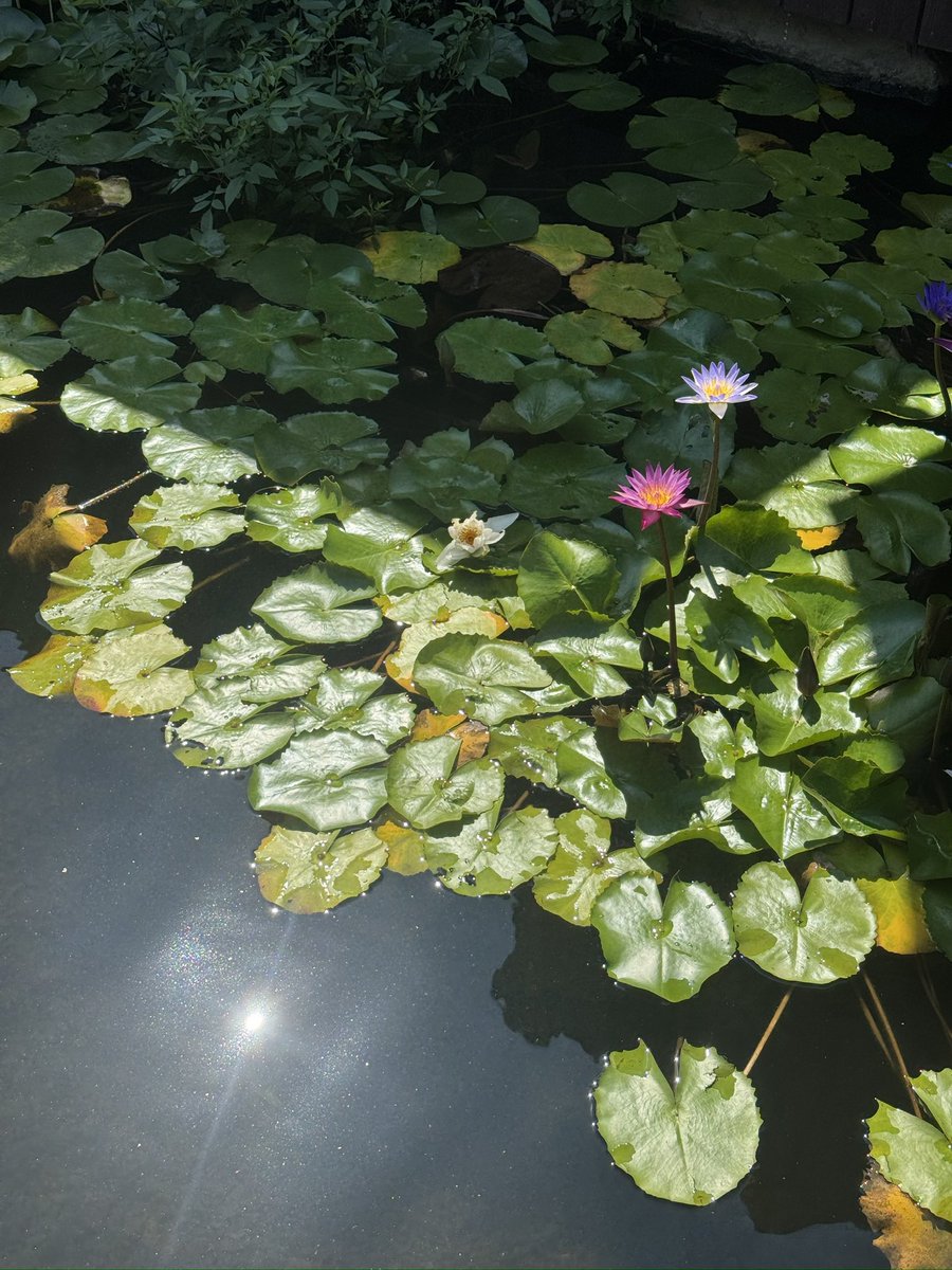 gazingstill (@gazingstill) on Twitter photo 