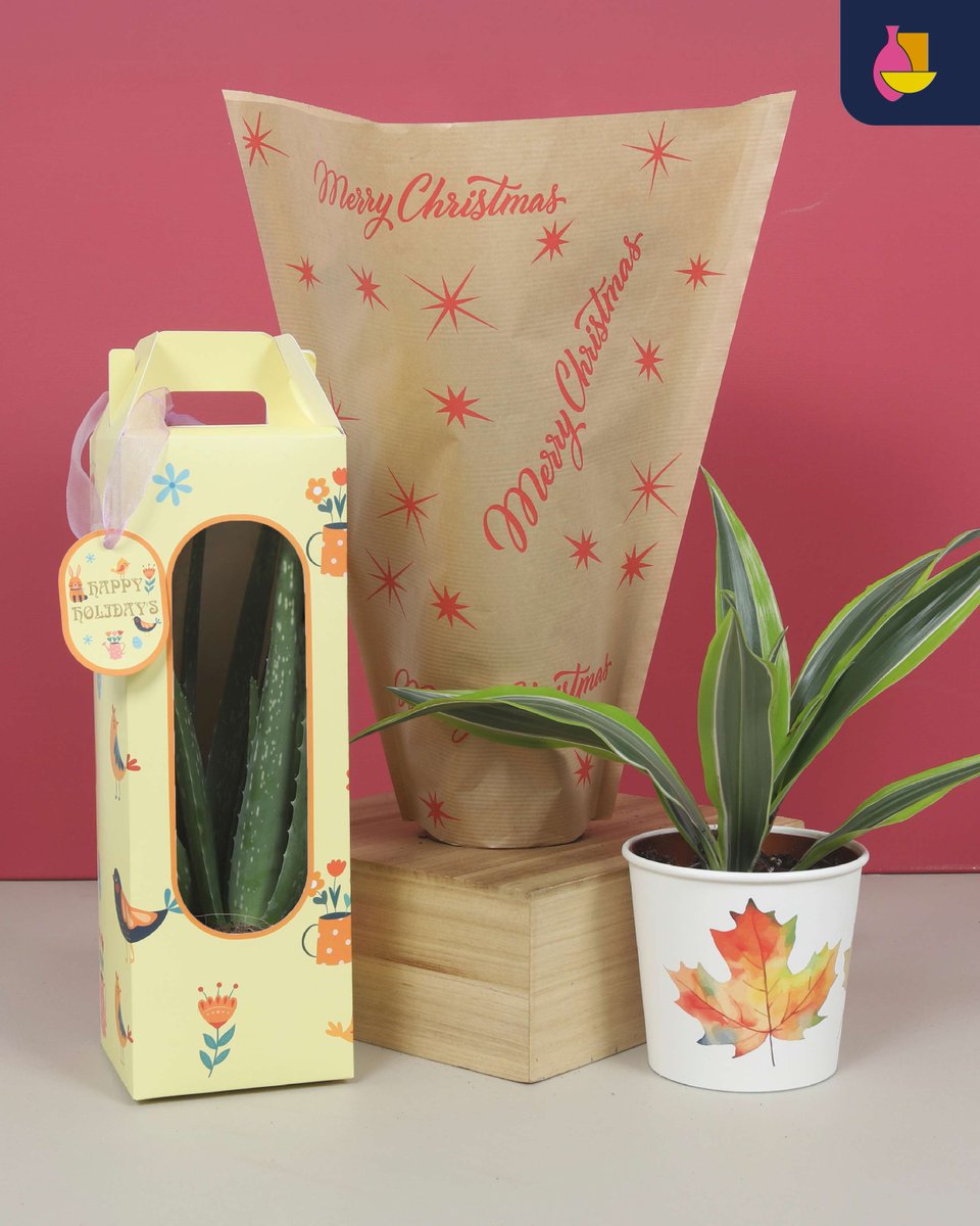 BunnikCreations's tweet image. We love paper!
Versatile, sustainable &amp;amp; recyclable up to 8 times — the perfect packaging choice. From sleeves to cups, our paper options bring style + eco-friendliness together. 🌍💚

Let’s think paper together!

#BunnikCreations #PaperPackaging #EcoFriendly #SustainableDesign