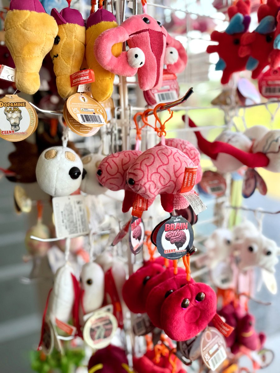 ミュージアムショップ スタッフおすすめ ユニークな科学グッズ