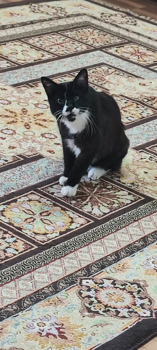 چیه خب؟؟؟؟ بر می‌گردم دیگه